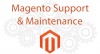 Magento Store Development Company