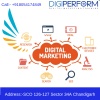 Best Digital Marketing Courses