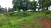 NA Land for sale in Panchgani