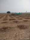 Plantation Plots for Sale 