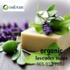 Best Organic and Natural Products