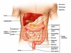 Ulcerative Colitis Treatment in Ayurveda 