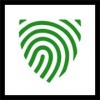 Executive Online Assessments and Surveys