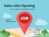 B2B Sales Manager