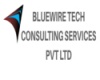 Bluewire Tech KPO service