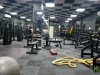 Gym Opening Cost