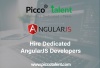 Angularjs Developer