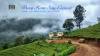 Droog Home Stay Cottage