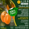 Talala Gir Organic Kesar Mango
