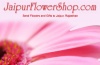 Online Flower Delivery
