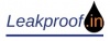 Bathroom Leakage services