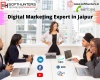 Digital Marketing Expert